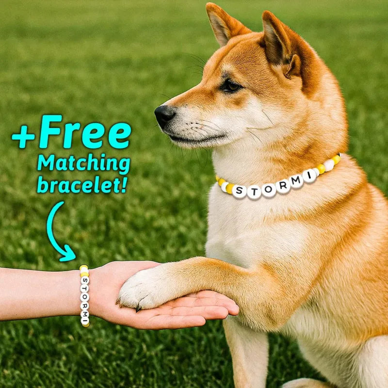 Personalized Pet Name Necklace with Free Matching Bracelet