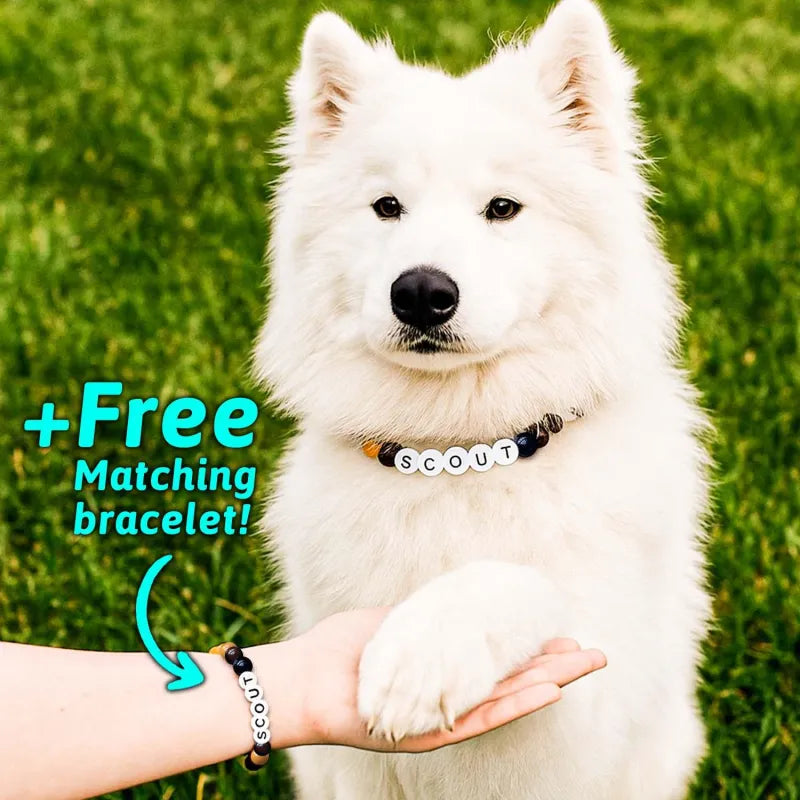 Personalized Pet Name Necklace with Free Matching Bracelet