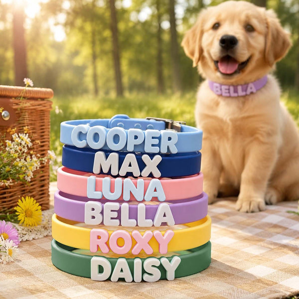 Personalized Dog Collar with Letter Charms – Custom Waterproof Silicone Collar & Leash Set