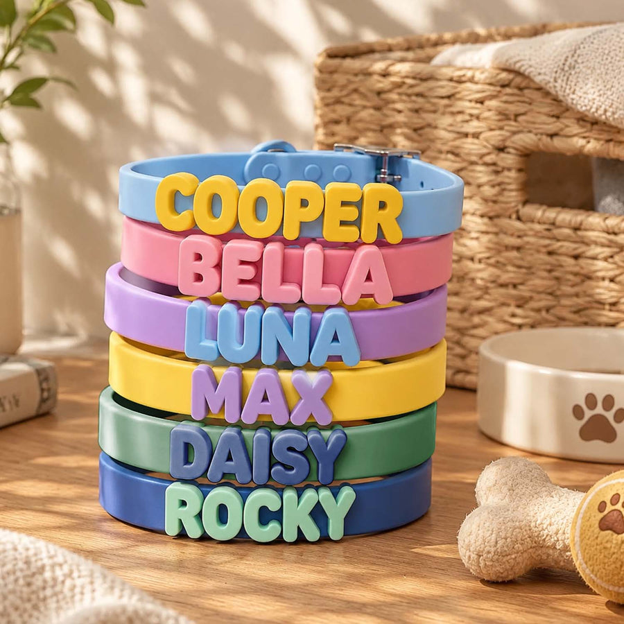 Personalized Dog Collar with Letter Charms – Custom Waterproof Silicone Collar & Leash Set
