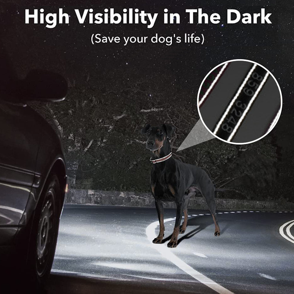 Personalized Reflective Nylon Dog Collar
