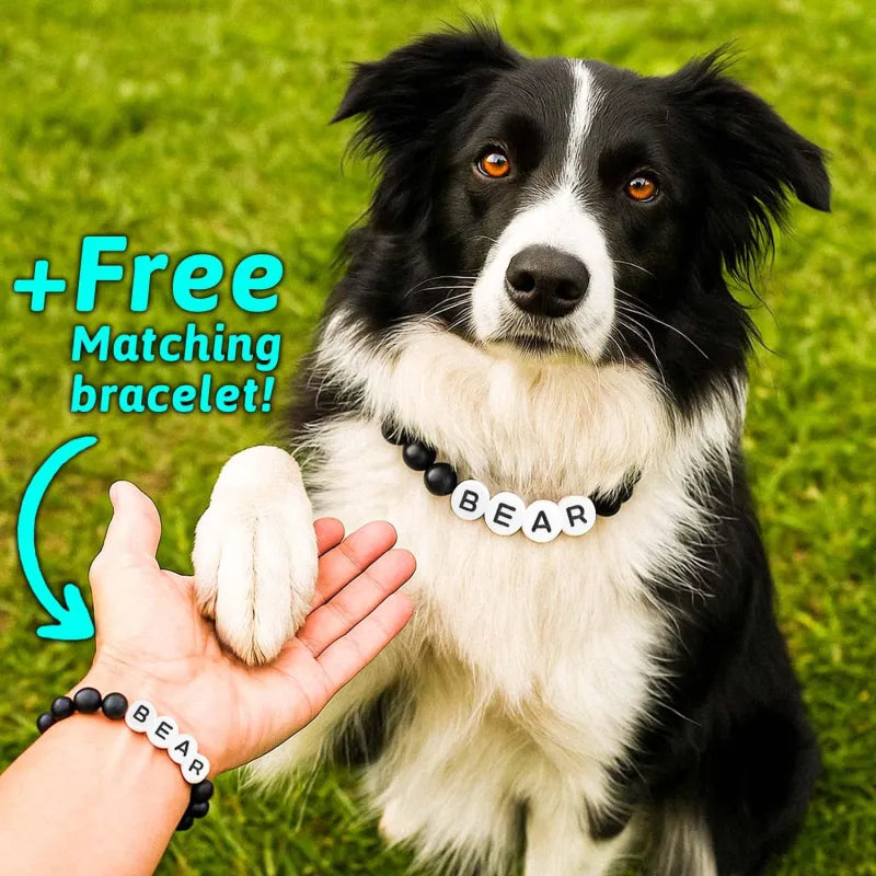 Personalized Pet Name Necklace with Free Matching Bracelet