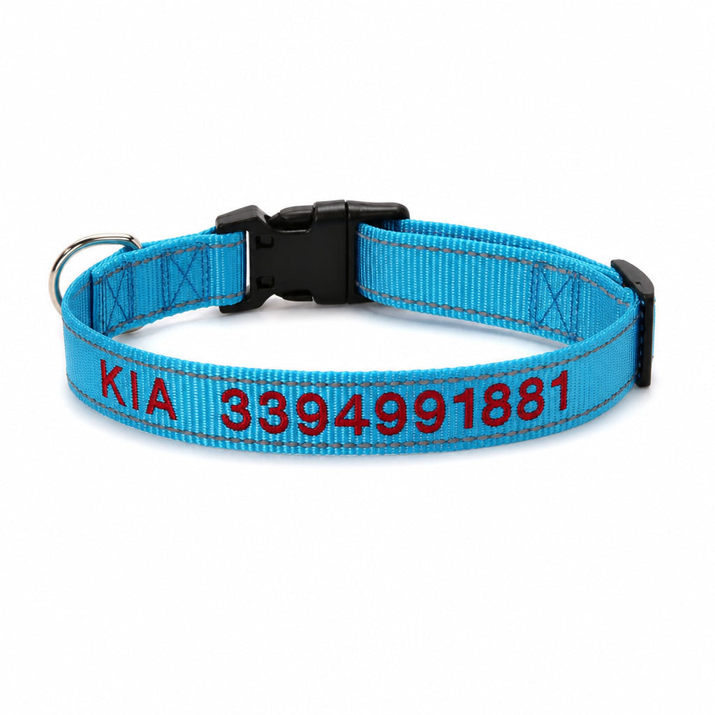 Personalized Reflective Nylon Dog Collar · Main product on white background