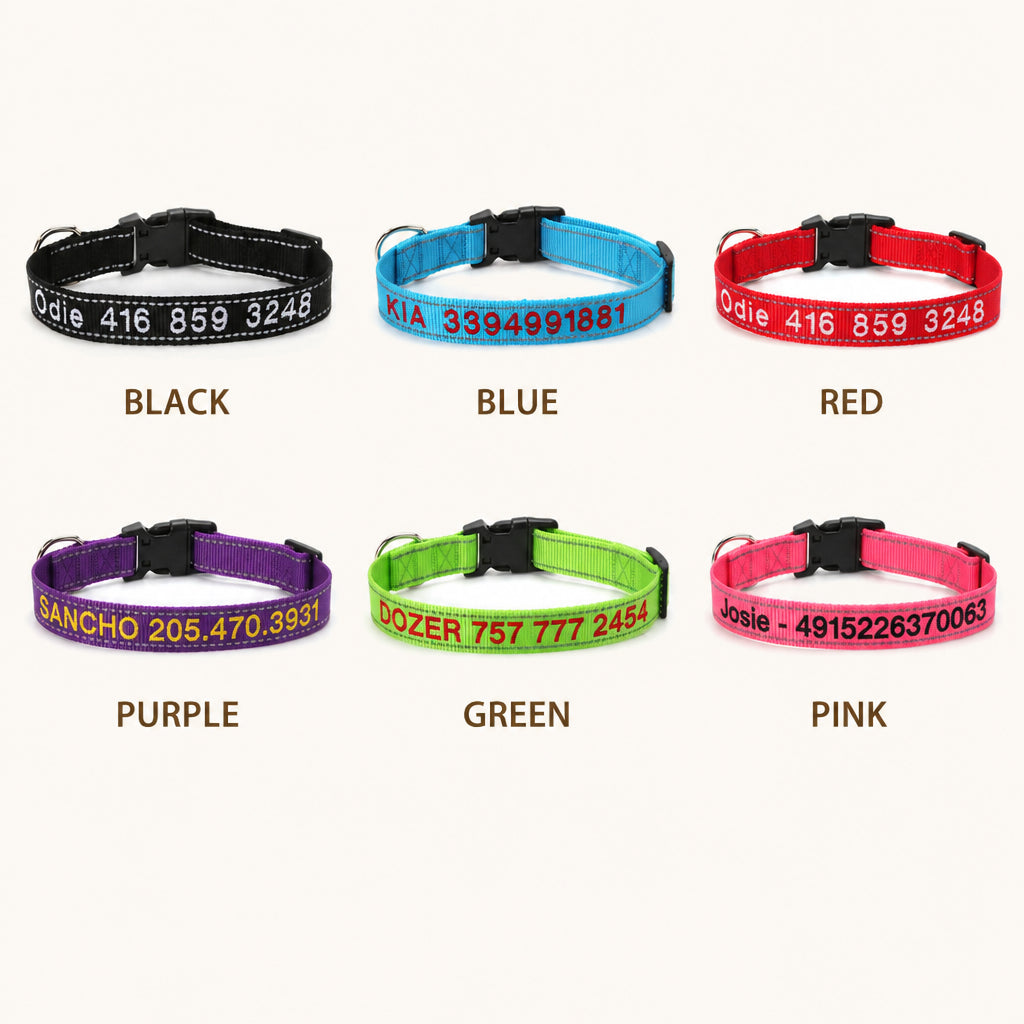 Personalized Reflective Nylon Dog Collar · All Color Variants Grid