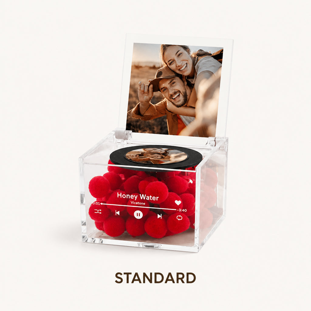 Custom Photo Mini Record Player Music Box with Light · Style Variant Grid: Standard