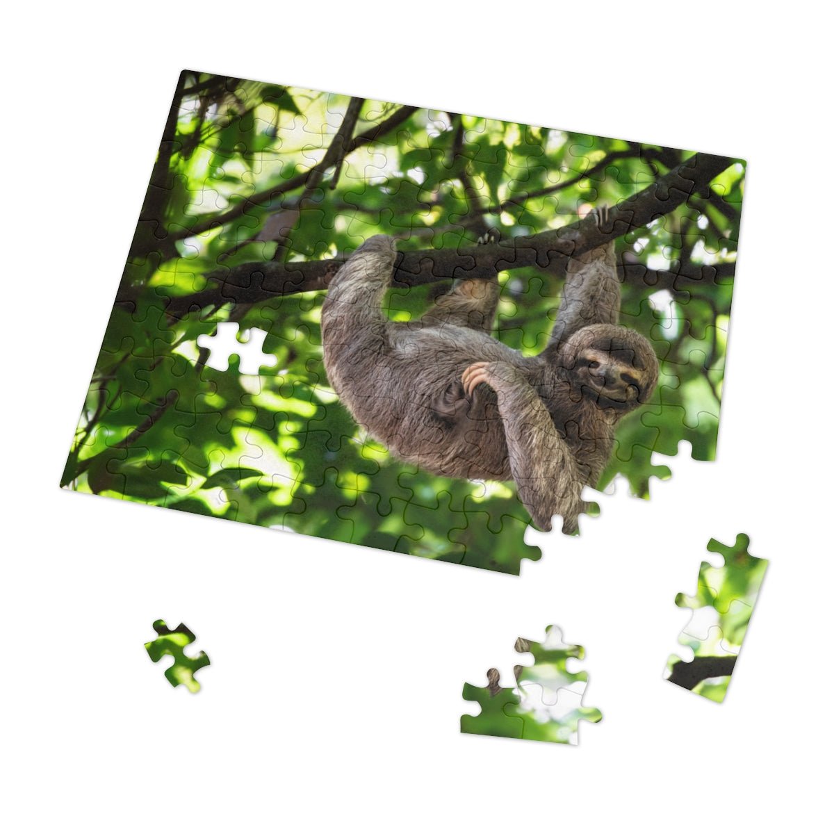 Cute Hanging Sloth Jigsaw Puzzle - Puffin Lime