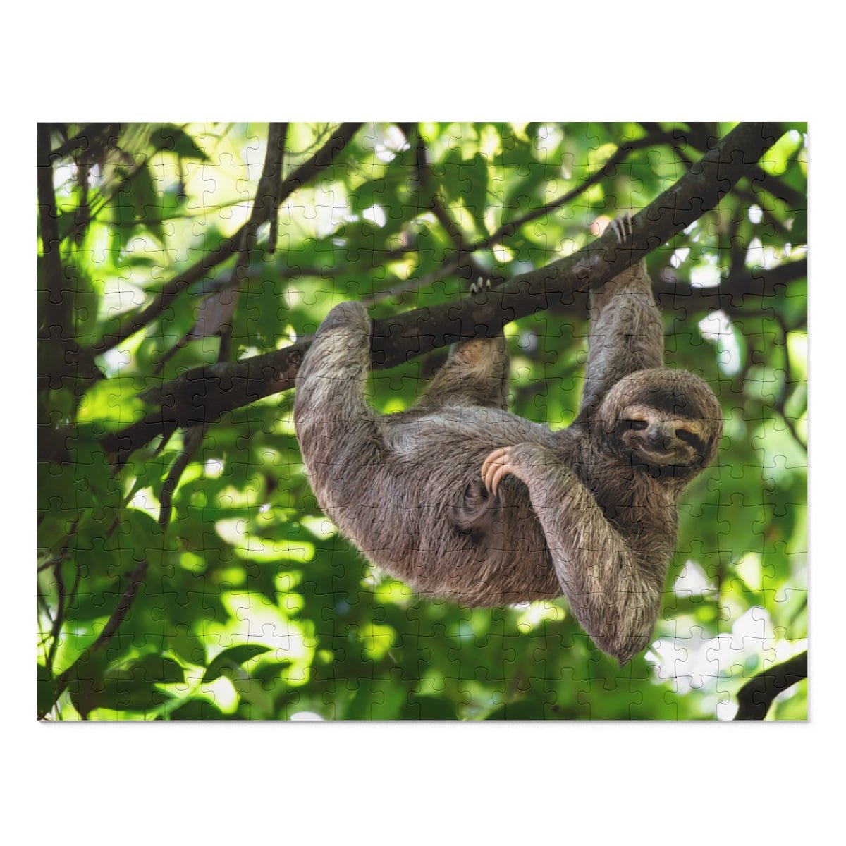 Cute Hanging Sloth Jigsaw Puzzle - Puffin Lime