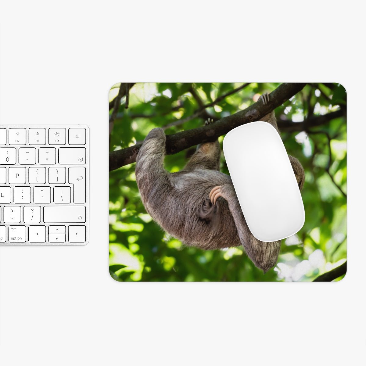 Cute Hanging Sloth Mouse Pad - Puffin Lime